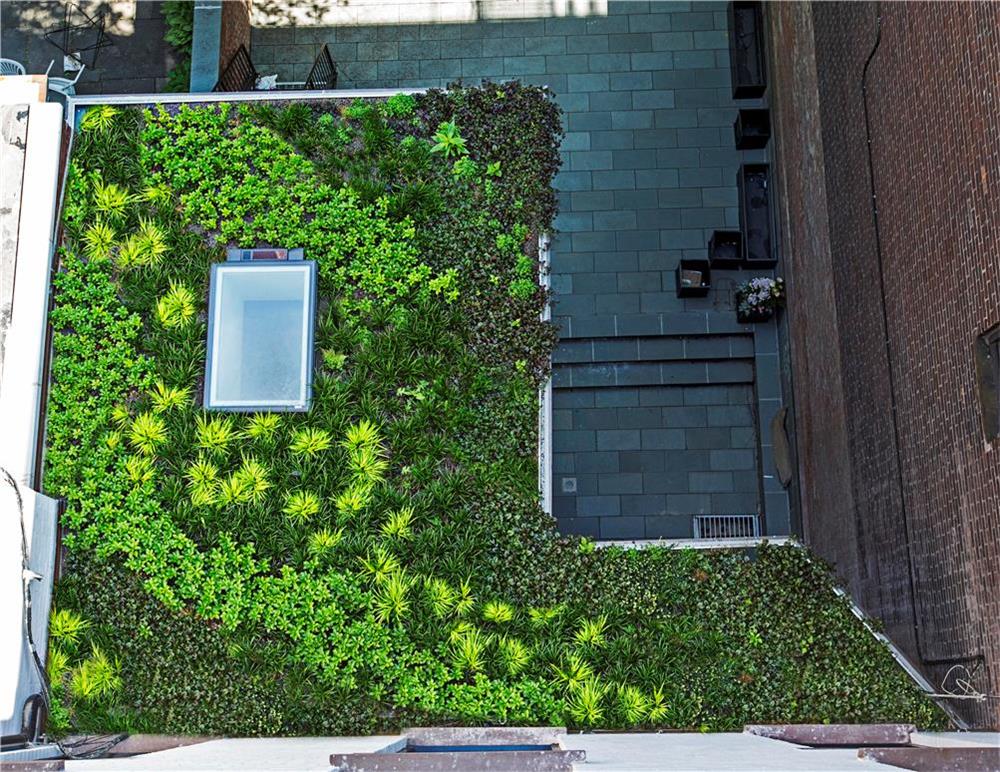 Sustainable from Roof to Ground